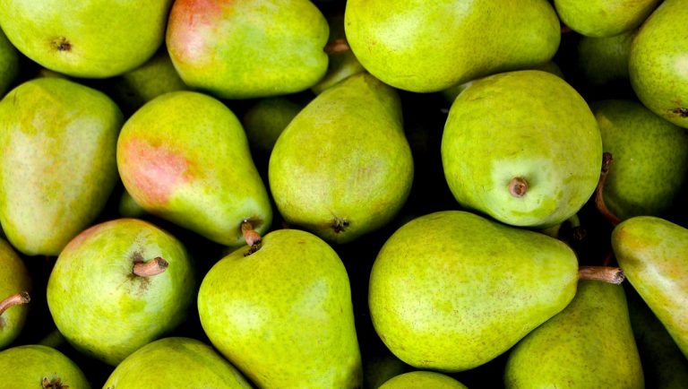 Ondertekening overeenkomsten Fruit NL