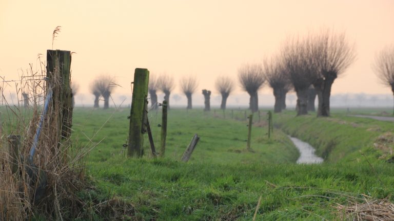 Versterking "groen" vrijwilligersnetwerk gemeente Buren
