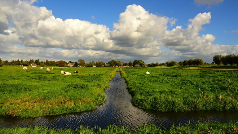 Gemeente Buren start met verkoop van restgroen in Lienden